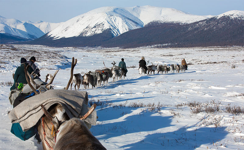 winter photo tour mongolia 